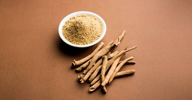 Dried ashwagandha root and ashwagandha powder in small bowl on a wooden surface