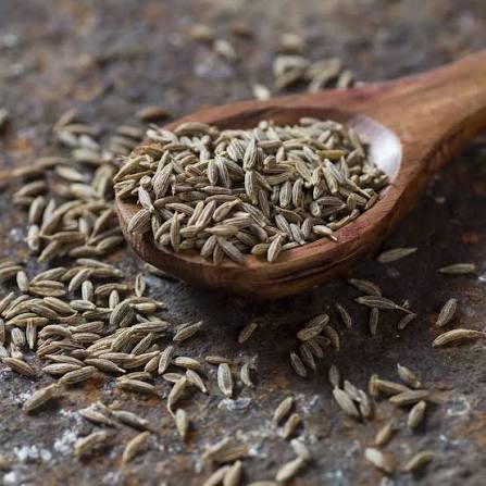 Organic fennel seeds, used in Be Present tea to ease digestion and bloating